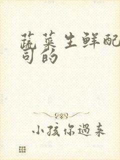 蔬菜生鲜配送公司的