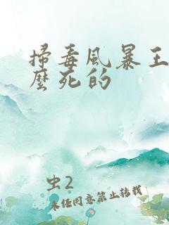 扫毒风暴王林怎么死的