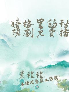 暗格里的秘密电视剧免费播放