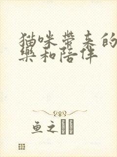 猫咪带来的是快乐和陪伴