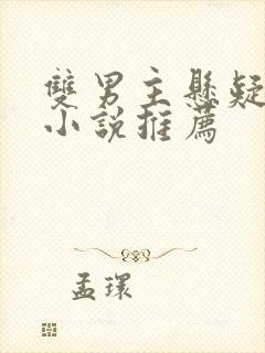 双男主悬疑推理小说推荐