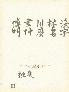 傅聿川林浅小说叫什么名字