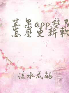 苹果app双开怎么更新软件