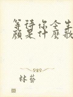 等待你今生的容颜是什么歌的歌词