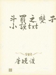 斗罗之双子斗罗小说txt