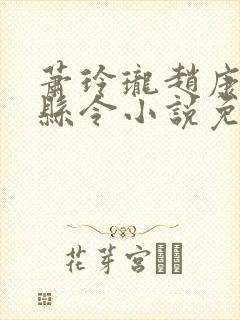 萧玲珑赵康帝师县令小说免费阅读