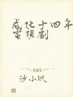 成化十四年所有电视剧