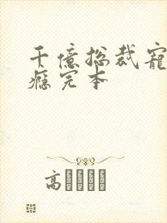 千亿总裁宠妻上瘾完本