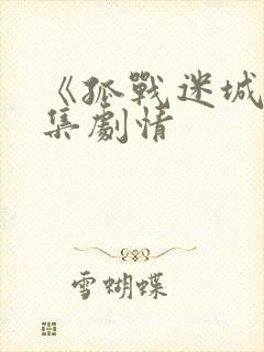 《孤战迷城》分集剧情