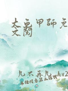 大龟甲师免费全文阅