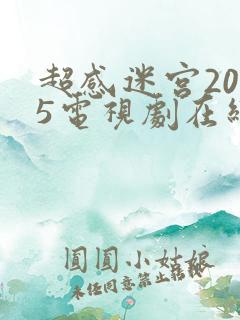 超感迷宫2025电视剧在线看