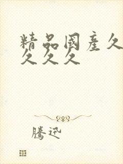 精品国产久久久久久久