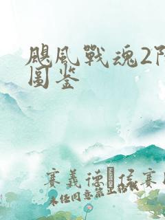 飓风战魂2陀螺图鉴