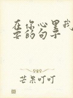 在你心里我不重要的句子