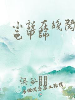 小说在线阅读大龟甲师