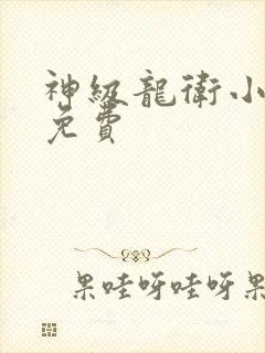 神级龙卫小说版免费