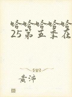 哈哈哈哈哈2025第五季在线观看