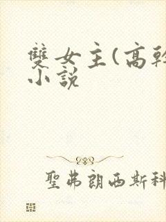 双女主(高干)小说