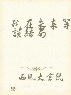 我在未来等你小说结局