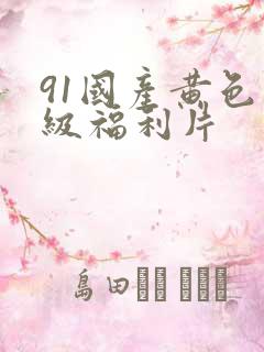 91国产黄色一级福利片