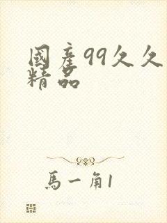 国产99久久久精品