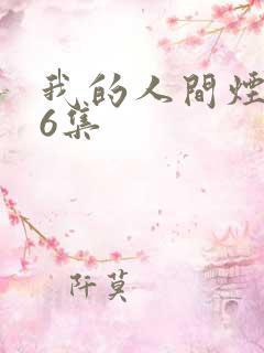 我的人间烟火第6集