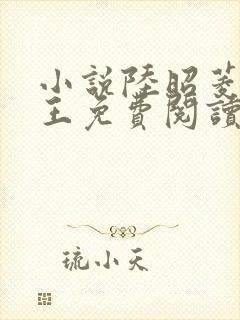 小说陆昭菱与晋王免费阅读