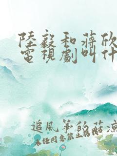 陆毅和蒋欣演的电视剧叫什么名字