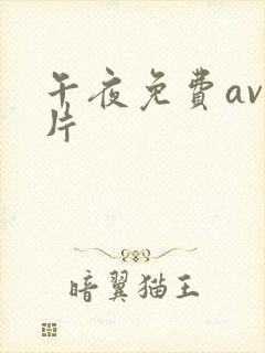 午夜免费av毛片