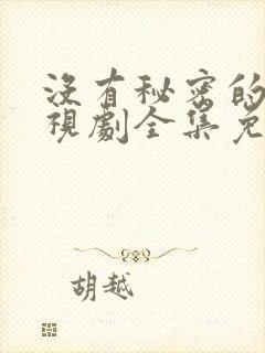 没有秘密的你电视剧全集免费观看