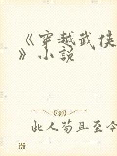 《穿越武侠世界》小说