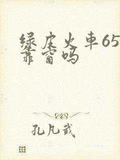 绿皮火车65号靠窗吗