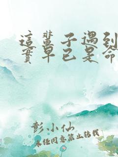 这辈子遇到谁其实早已是命中注定