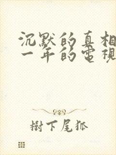 沉默的真相是哪一年的电视剧