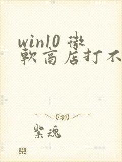 win10 微软商店打不开