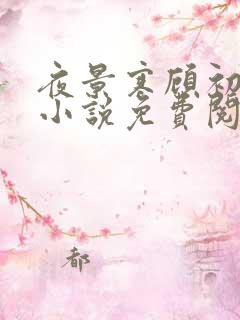 夜景寒顾初暖的小说免费阅读