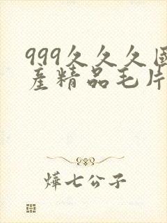 999久久久国产精品毛片