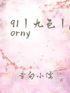 91丨九色丨porny