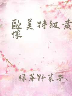 欧美特级黄色录像