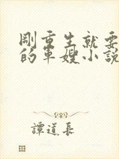 刚重生就要离婚的军嫂小说