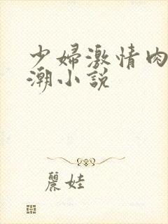 少妇激情肉欲高潮小说
