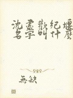 沈尽欢纪堰小说名字叫什么