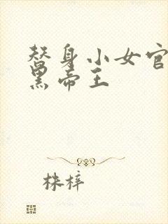 替身小女官,腹黑帝王