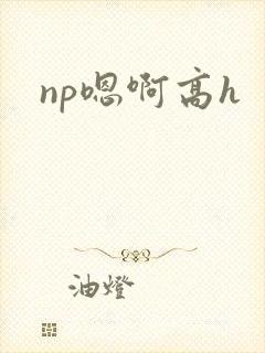 np嗯啊高h