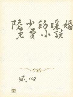 陆少的暖婚新妻 免费小说