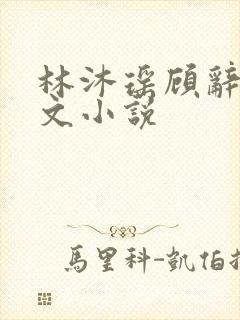 林沐瑶顾辞远全文小说