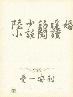 陆少的暖婚新妻小说阅读
