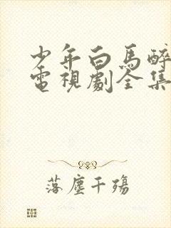 少年白马醉春风电视剧全集免费看