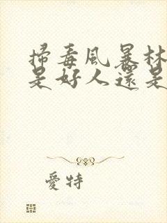 扫毒风暴林强峰是好人还是坏人