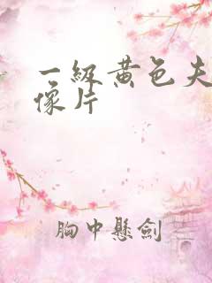 一级黄色夫妻录像片